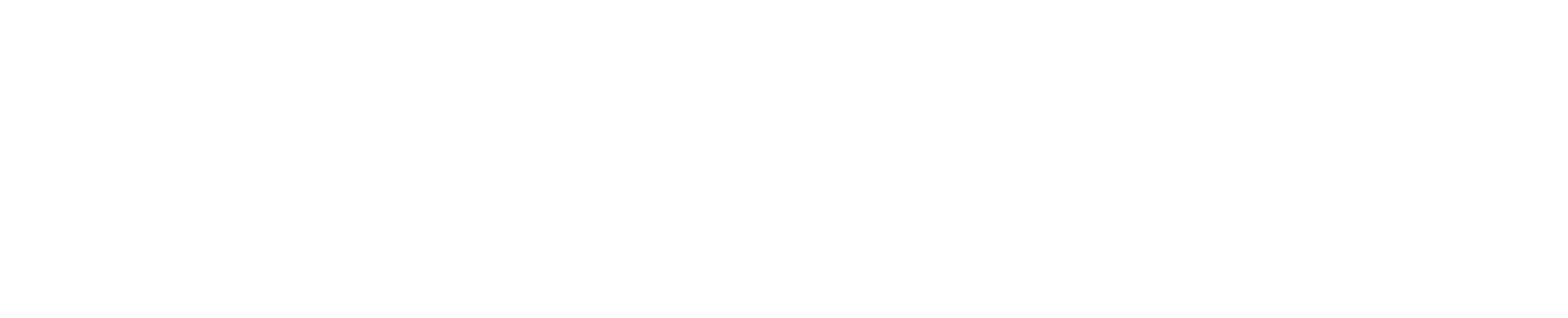 Flynn