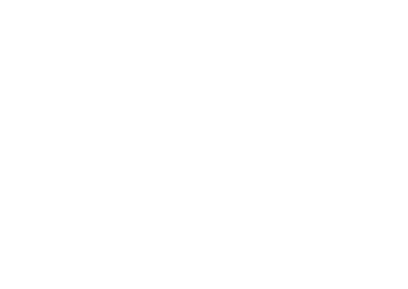 McGahon Surveyors
